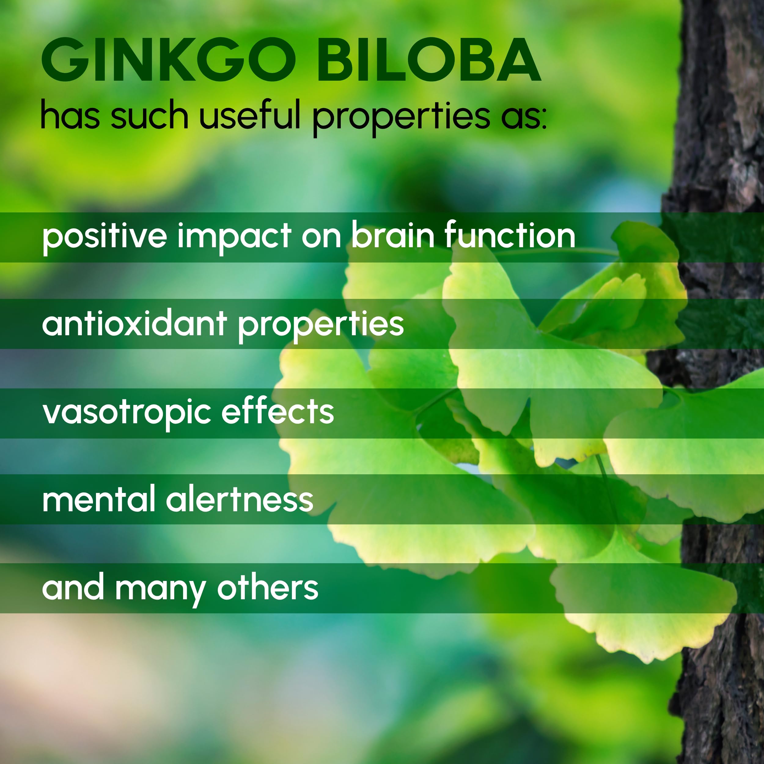 Ginkgo Biloba Powder packaging and label