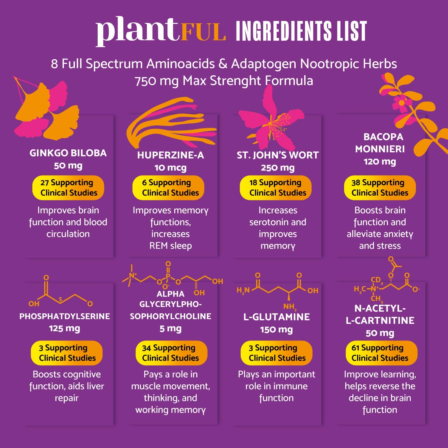 Ginkgo Biloba, St John's Wort and Bacopa Monnieri ingredients