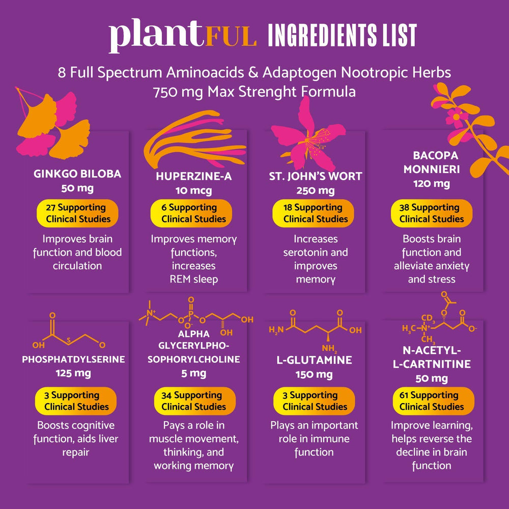 Ginkgo Biloba, St John's Wort and Bacopa Monnieri ingredients
