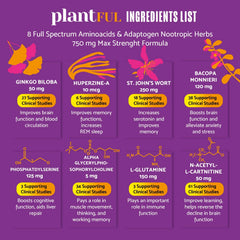 Ginkgo Biloba, St John's Wort and Bacopa Monnieri ingredients