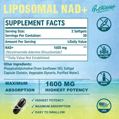 Liposomal NAD+ absorption technology illustration