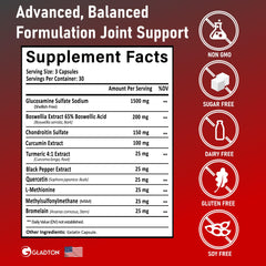 GLADTON MSM and Turmeric (Curcumin) blend