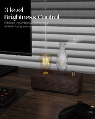 Diffuser showing three warm light modes