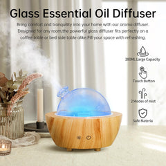 Diffuser displaying seven-color LED ambient lighting