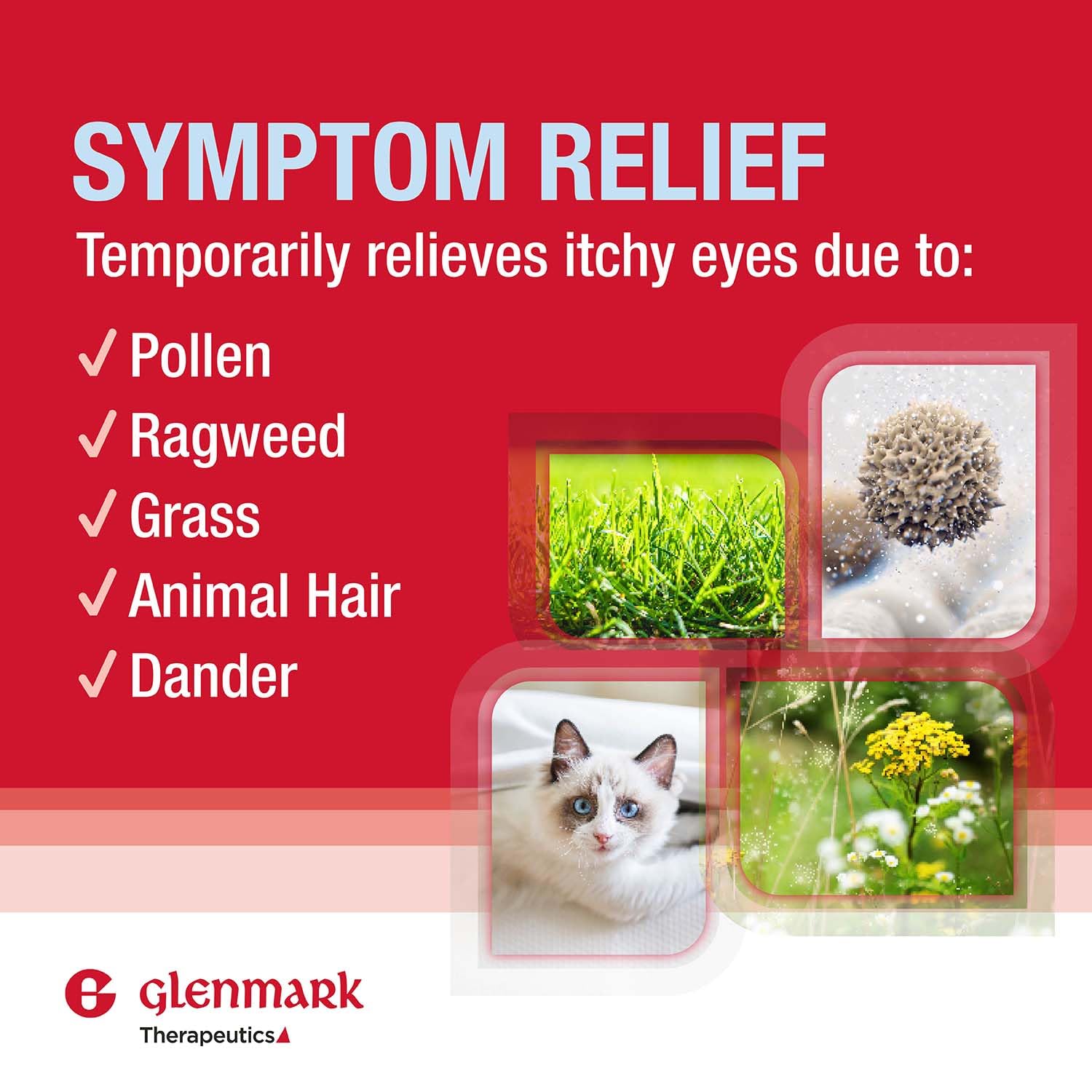 Glenmark Therapeutics Olopatadine close-up label emphasizes strength and usage directions.