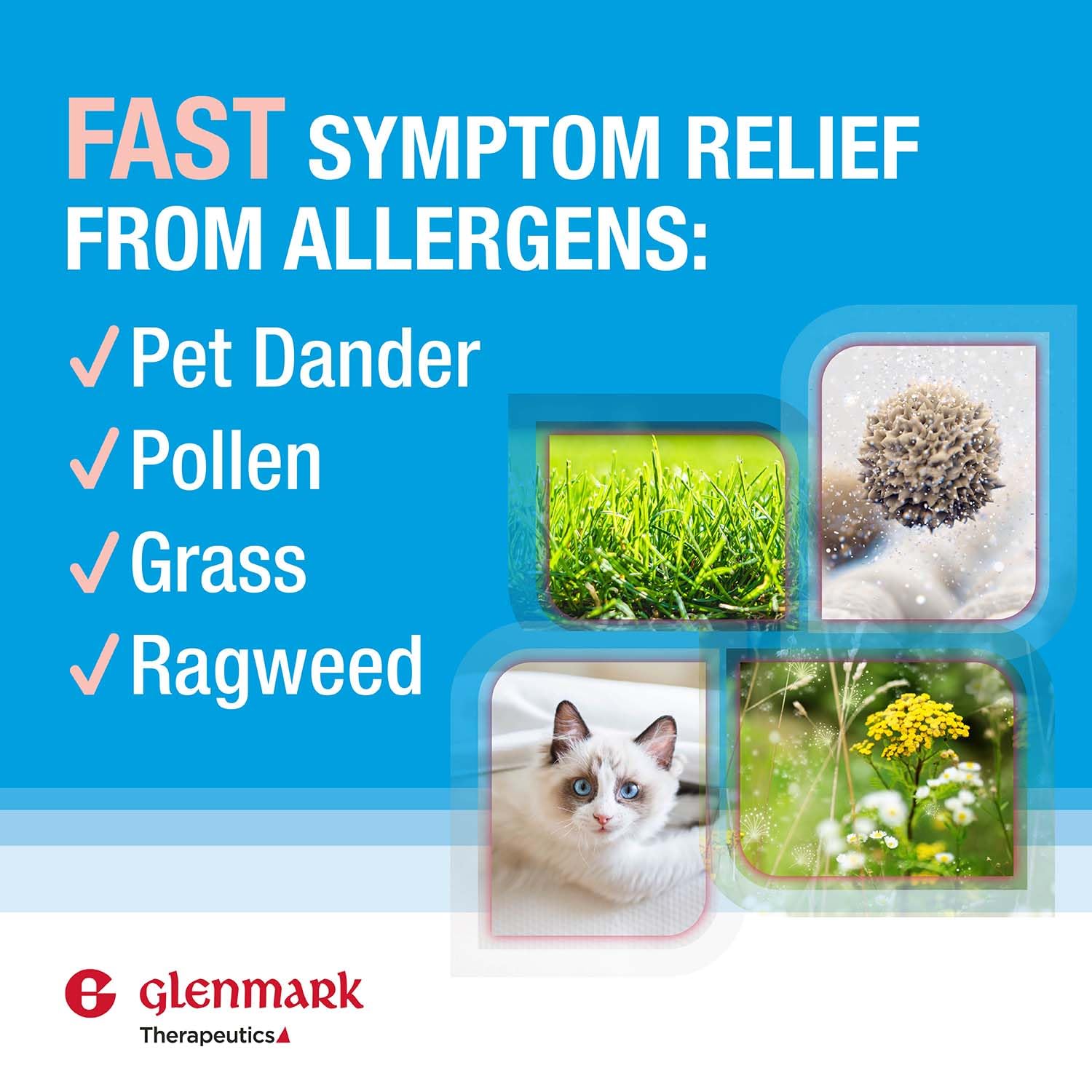 Glenmark Therapeutics Olopatadine eye drops application step-by-step for easy use