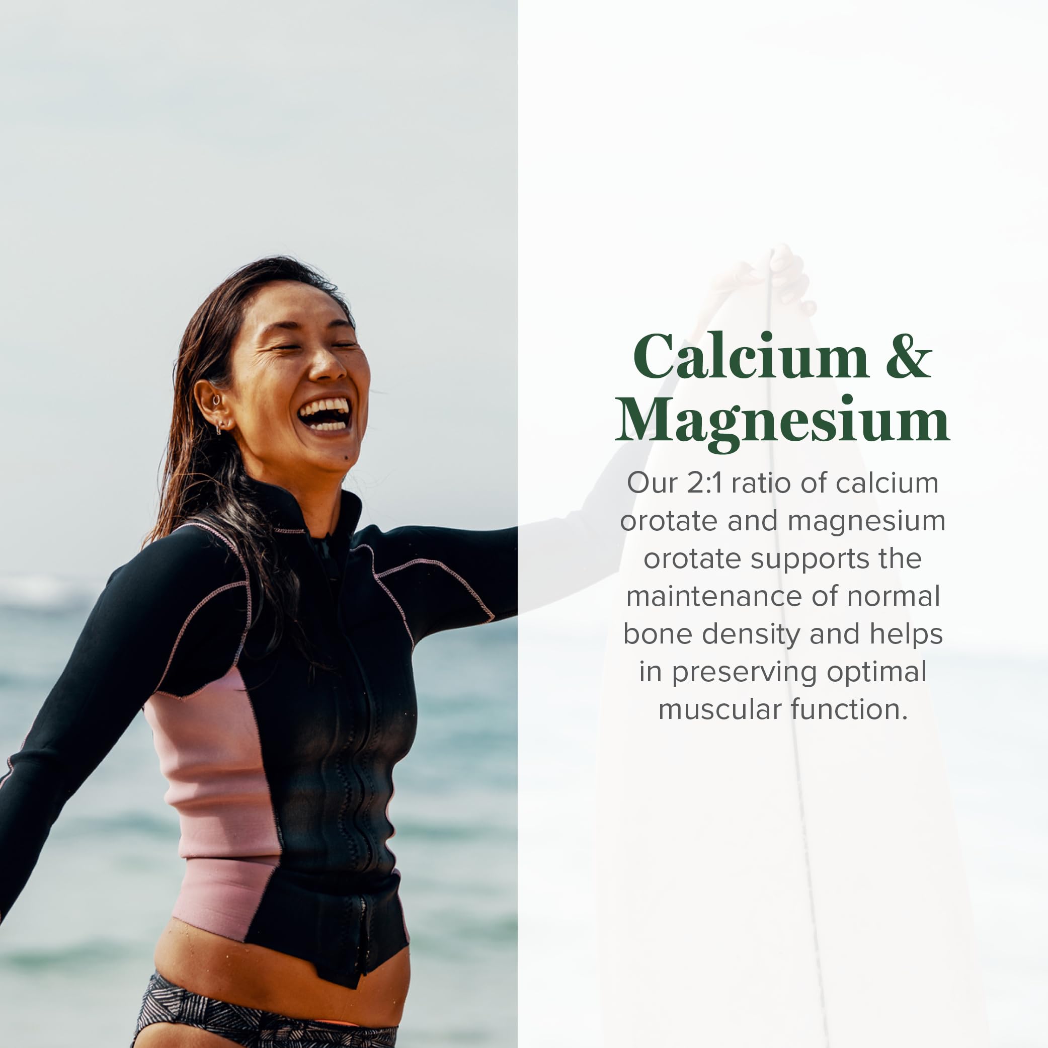 Illustration showing bones and teeth for bone density support