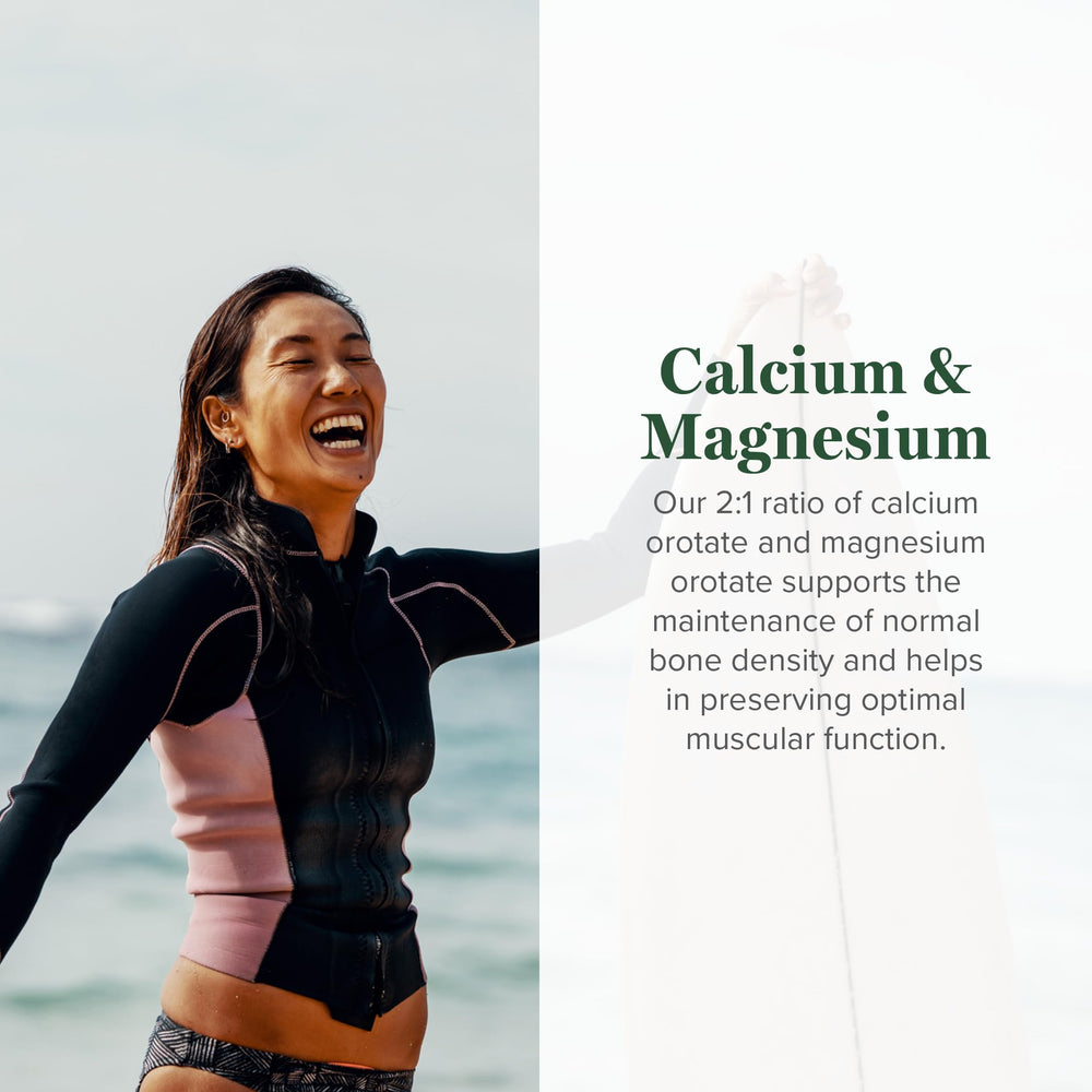 Illustration showing bones and teeth for bone density support