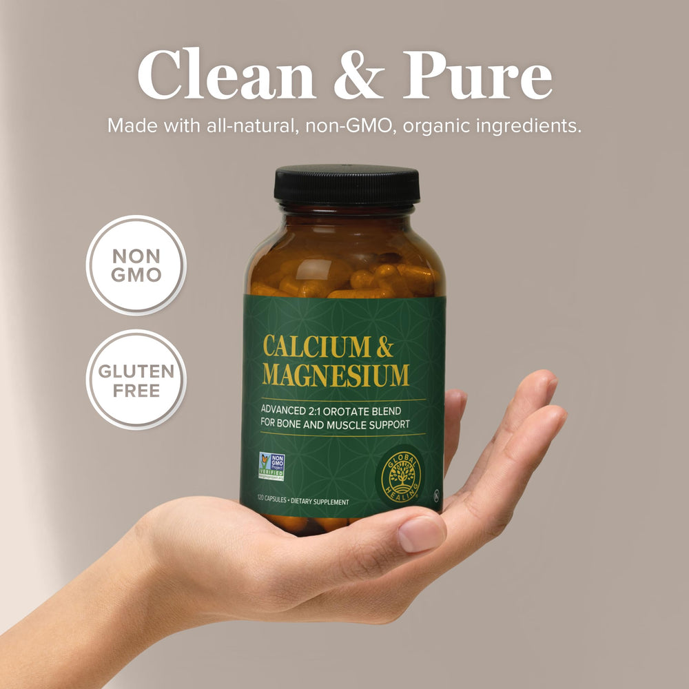 Muscle function and calcium absorption