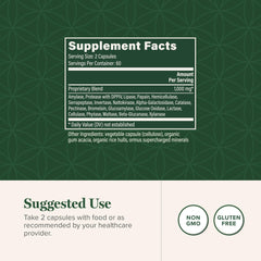 Illustration of systemic enzyme support in the body
