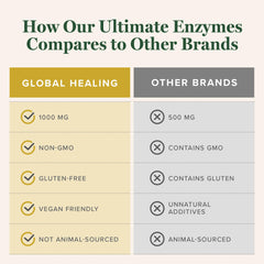 Healthy foods representing gut health and digestion
