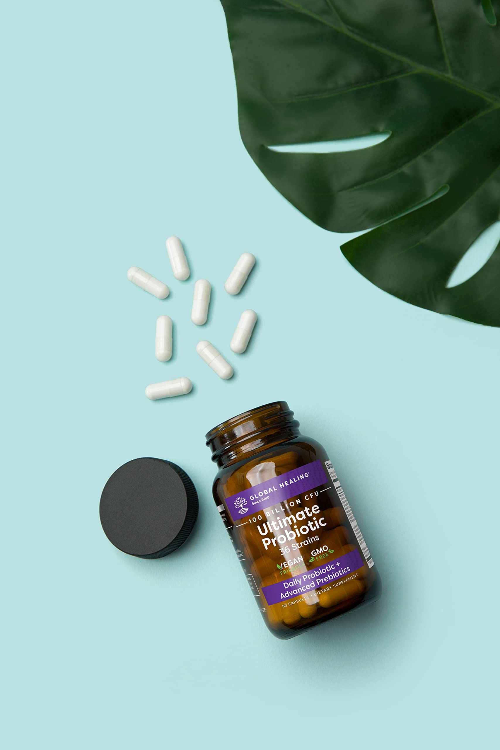 Illustration of 25 probiotic strains for gut health