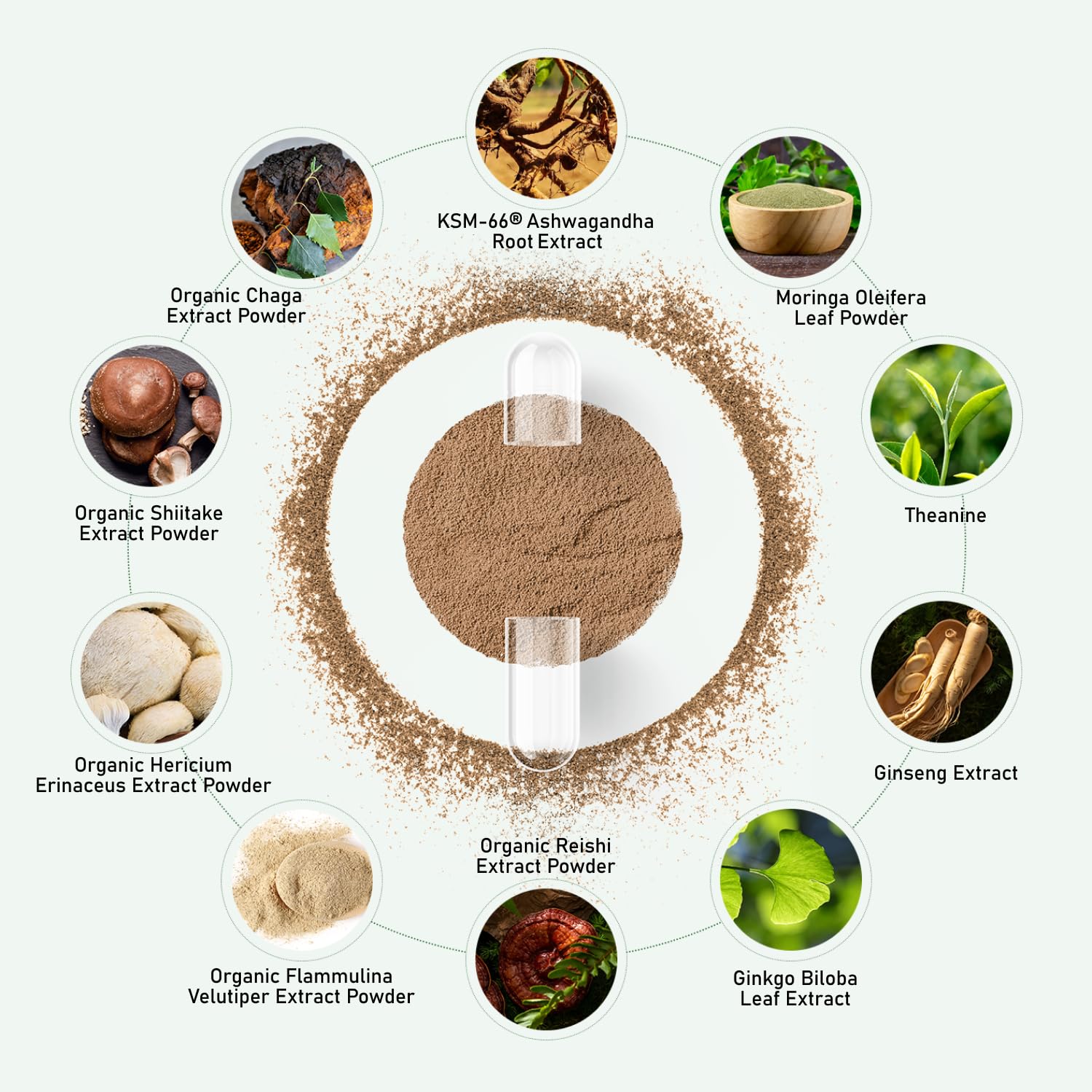 Supplement facts panel highlighting potency and standardized ingredients