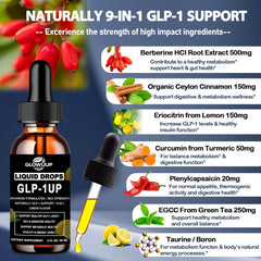 Vegan, sugar-free, dairy-free, gluten-free GLP-1 Drops information.
