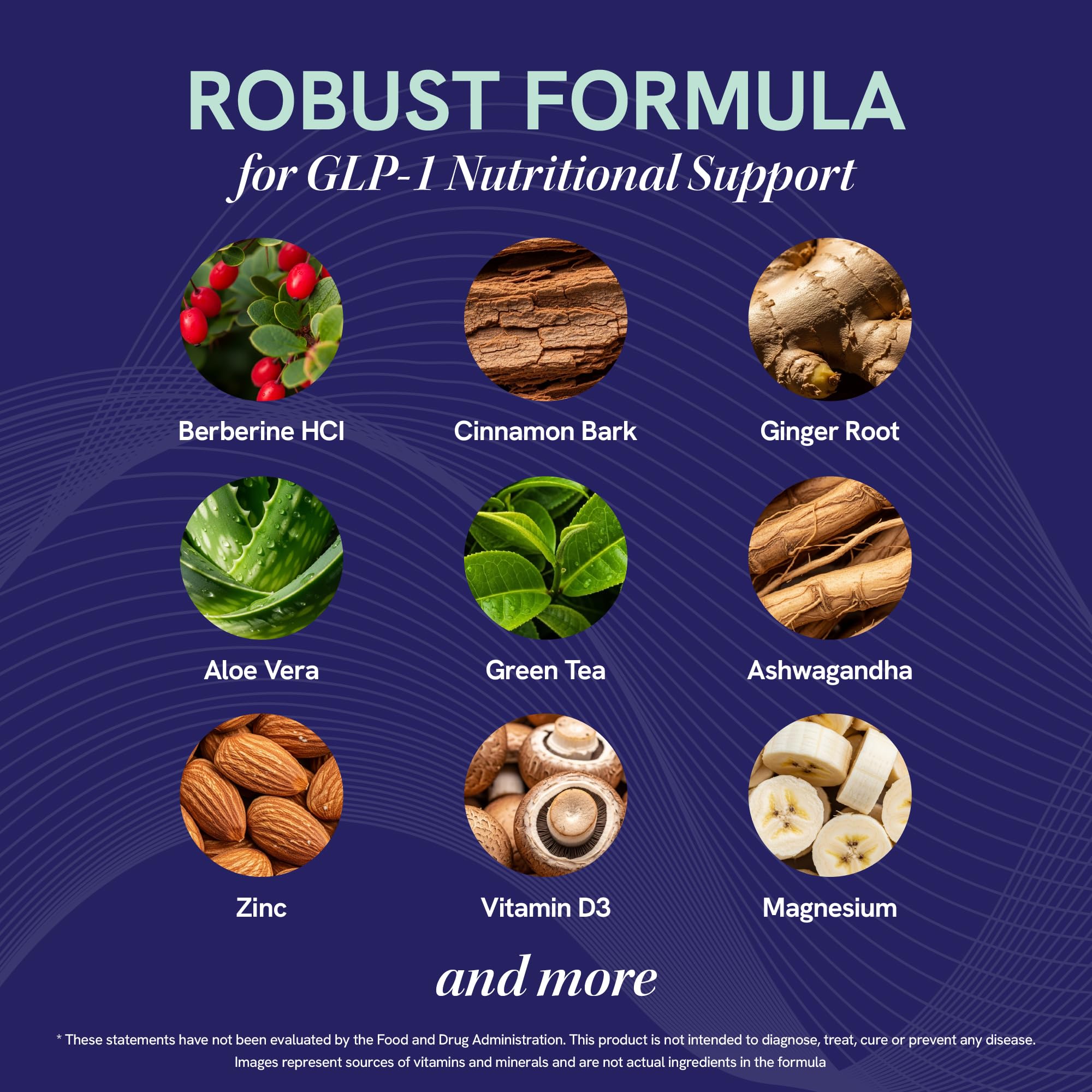 Concept of digestive health and metabolic balance