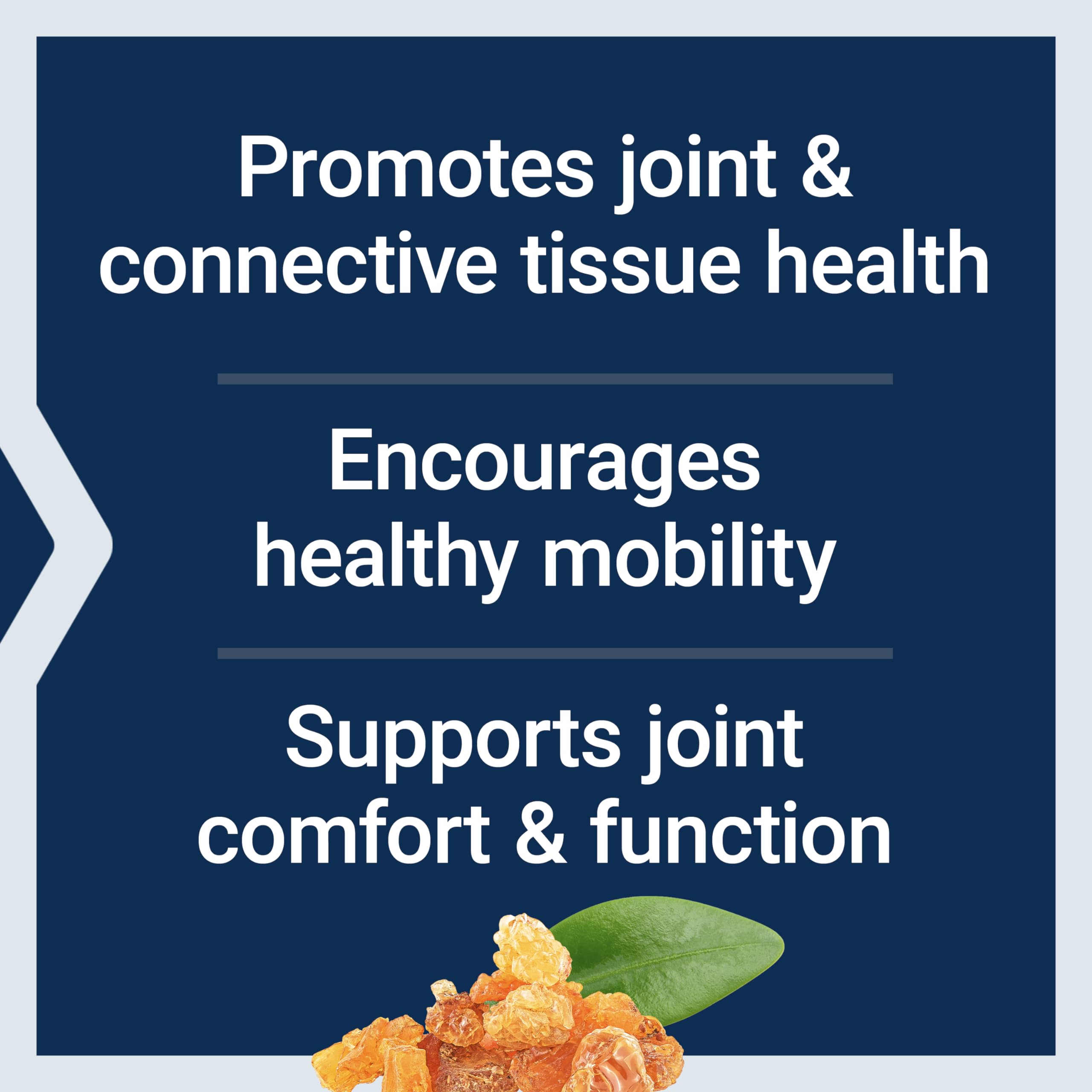 Glucosamine sulfate ingredient for joint function