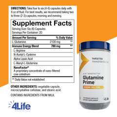 Glutamine Prime immune support illustration