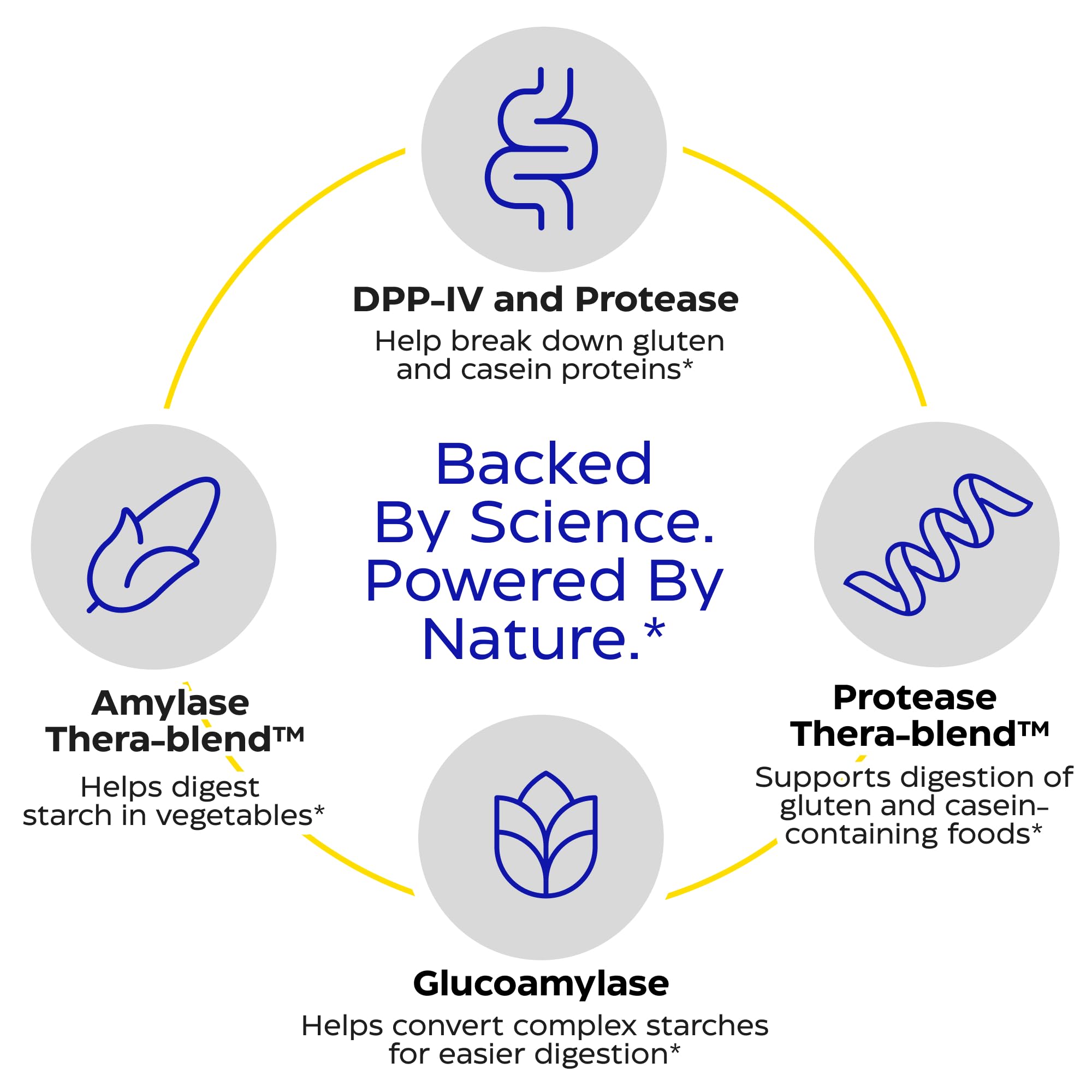 DPP-IV enzyme icon for GlutenEase Extra Strength