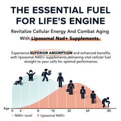 Gluten-free and dairy-free Liposomal NAD+ softgels