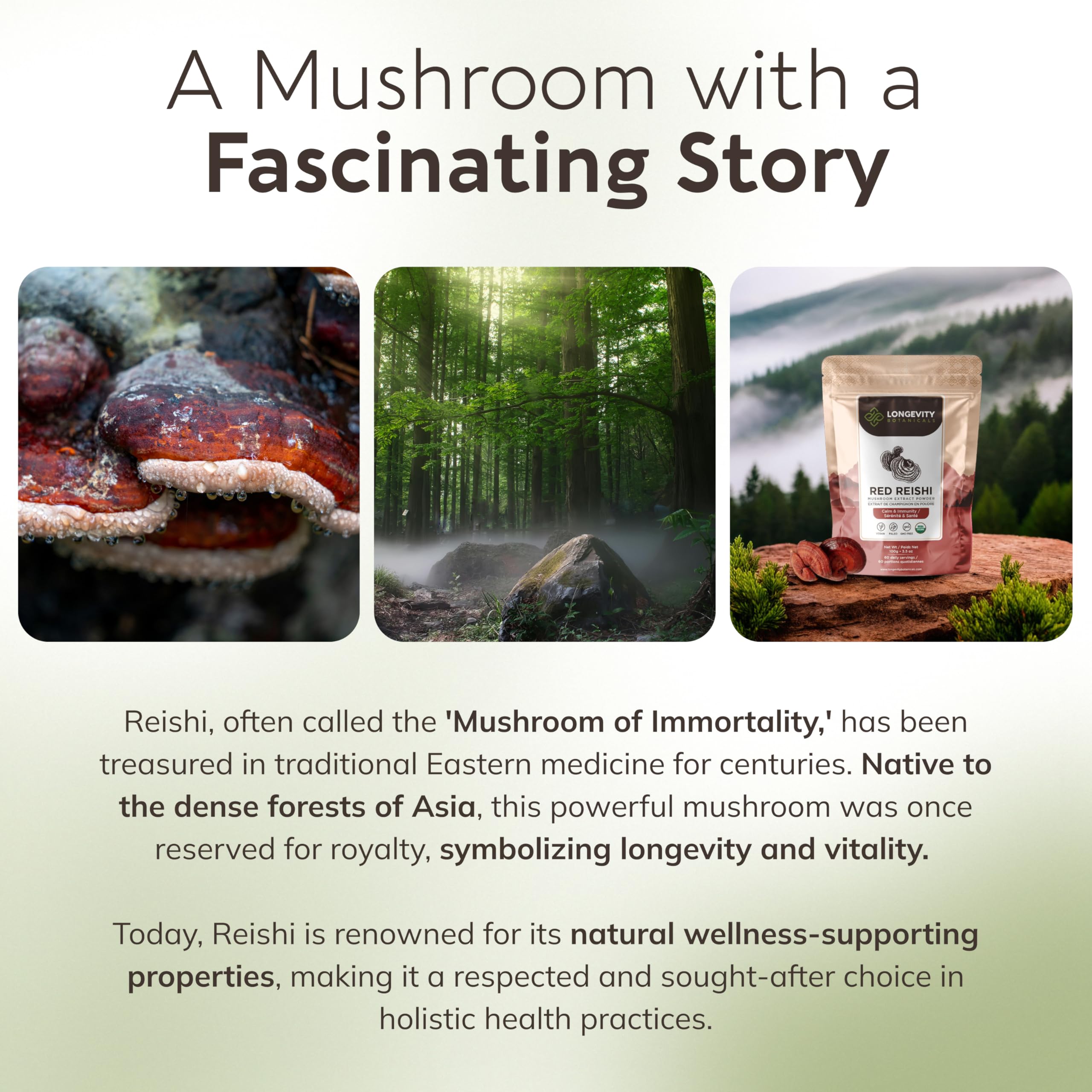 Gluten-free, vegan and kosher labels for Reishi supplement