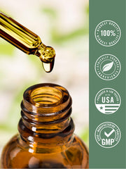 Gluten-free and wheat-free natural ingredients depiction