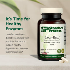 Gluten-free dairy-free non-soy probiotic digestive care