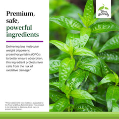 Gluten-free, non-GMO allergen-free label