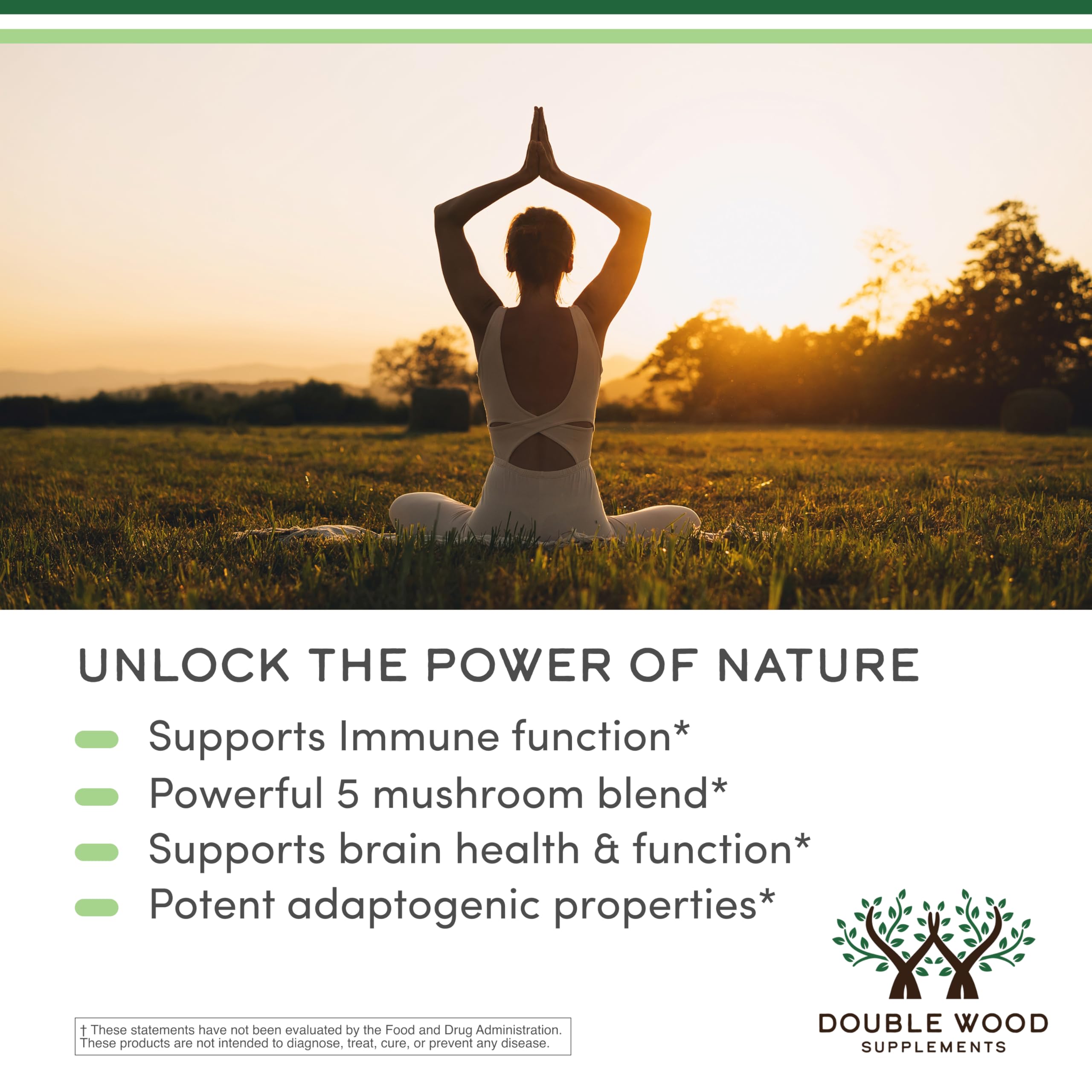 Gluten-free and non-GMO mushroom supplement