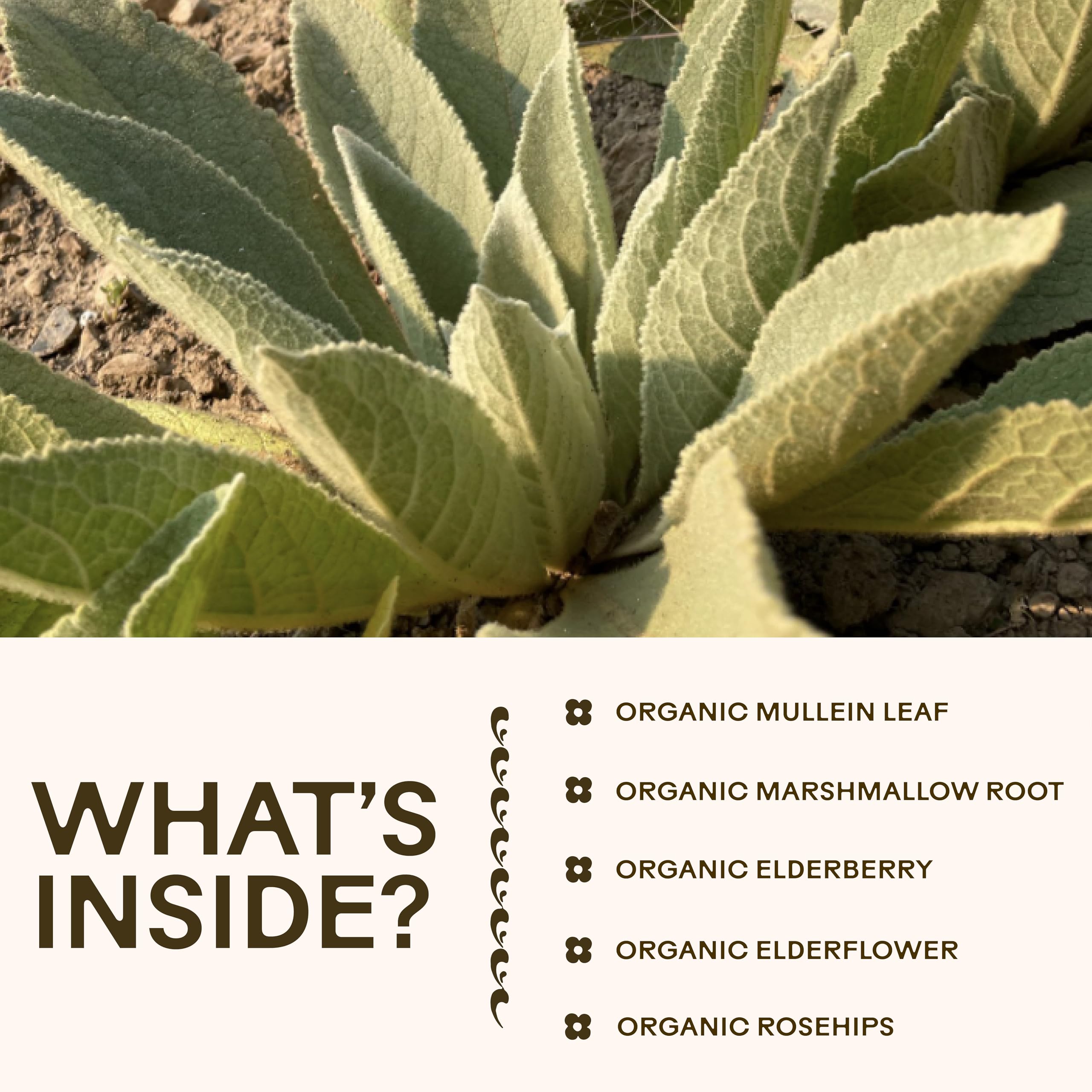 Gluten-free, non-GMO, vegan certification icons on the packaging