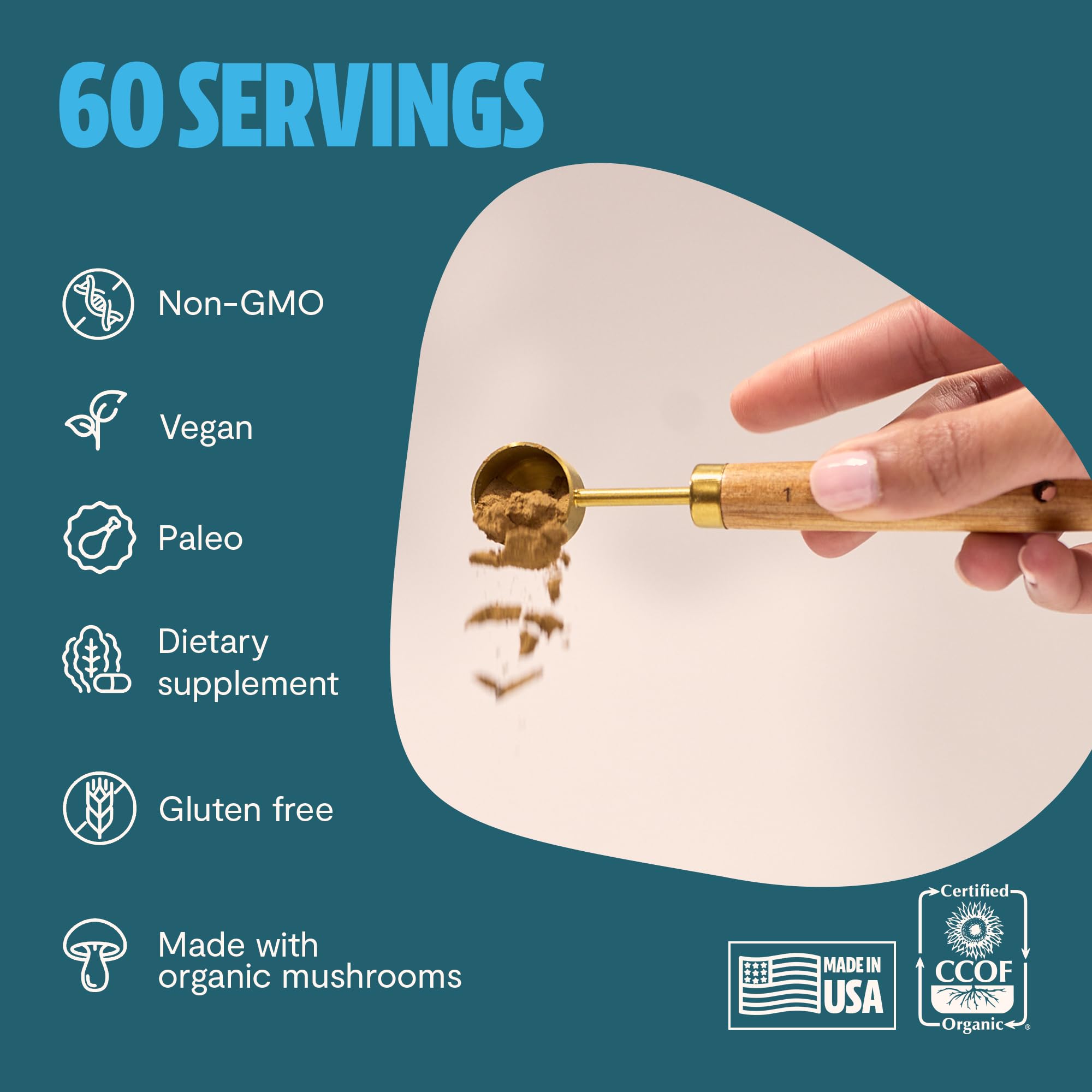 Gluten-free and vegan turkey tail supplement