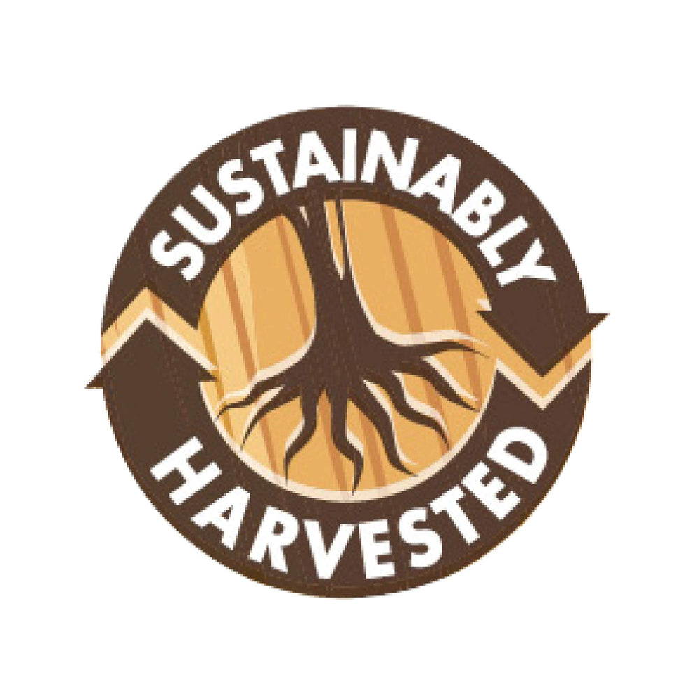 BrainPower packaging highlights gluten-free, dairy-free, soy-free and vegan