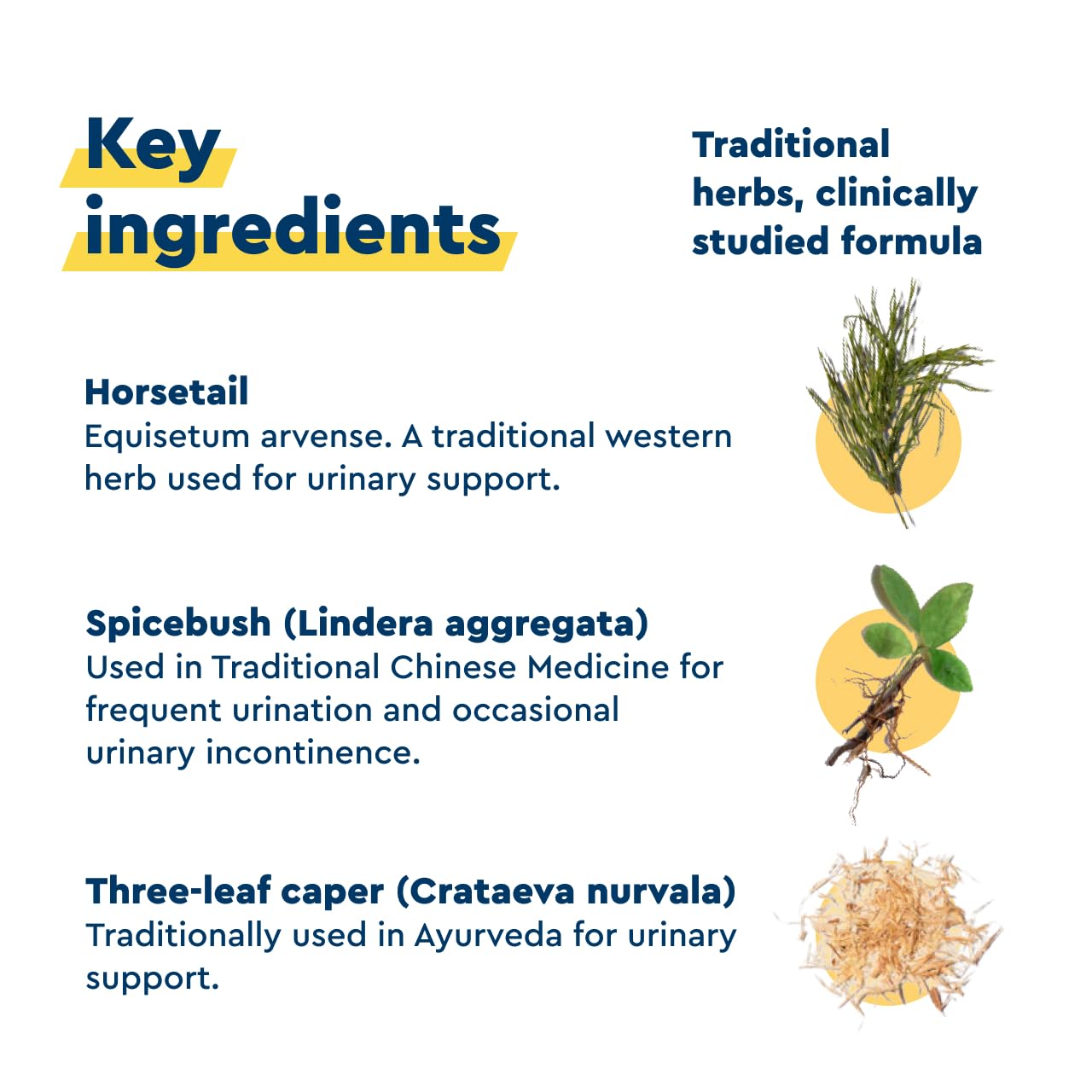 Gluten-free and vegetarian bladder support supplement