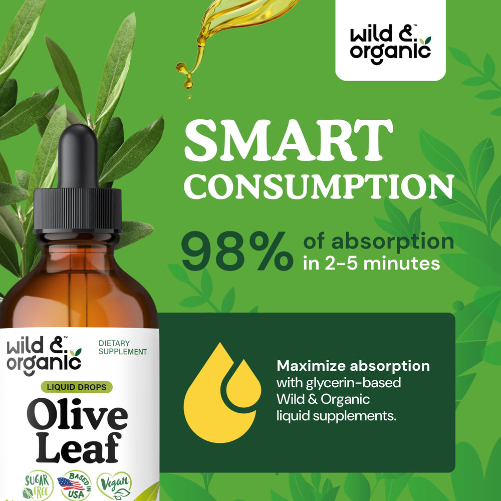Glycerin-based olive leaf tincture