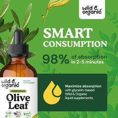Glycerin-based olive leaf tincture