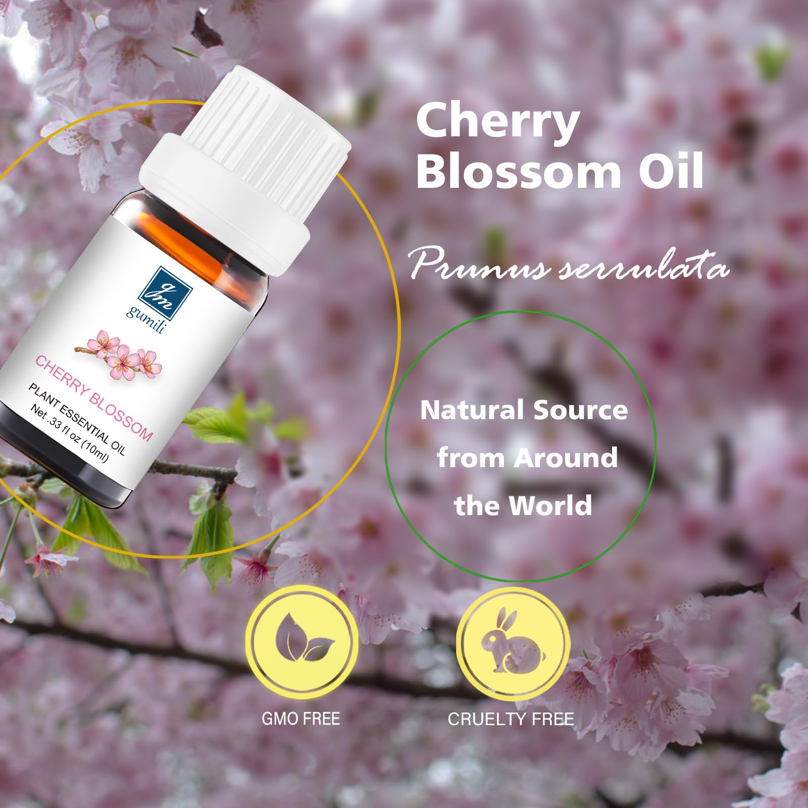 Packaging box and Cherry Blossom Fragrance Oil bottle