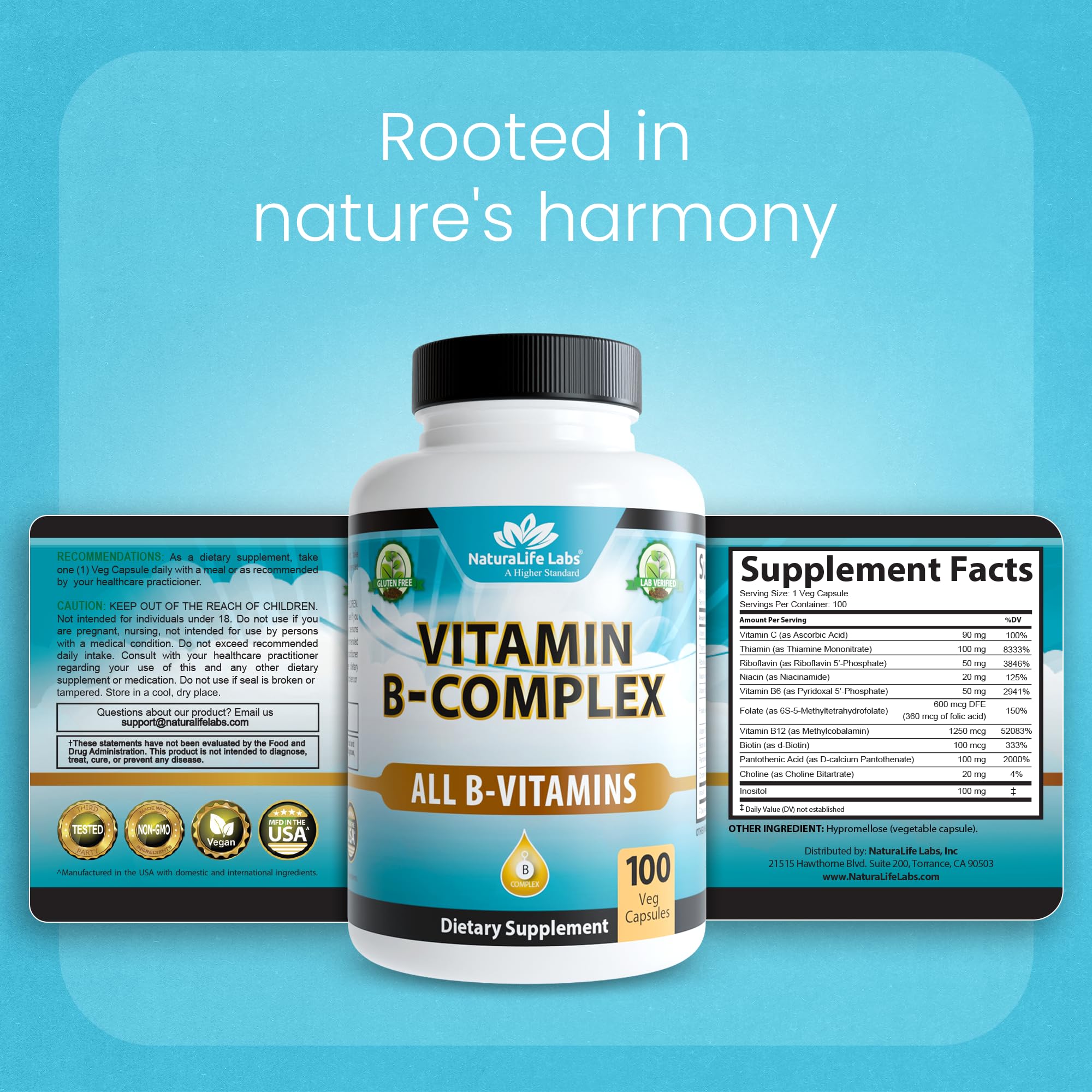 GMP-certified facility where NaturaLife Labs supplements are produced