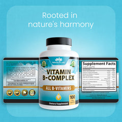 GMP-certified facility where NaturaLife Labs supplements are produced