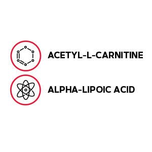 Close-up of GNC acetyl-L-carnitine and alpha-lipoic acid capsules
