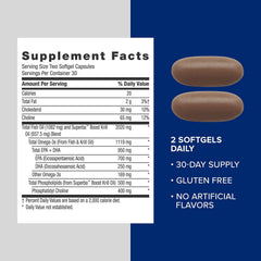 Illustration of omega-3 benefits for heart, brain, skin, eyes and joints