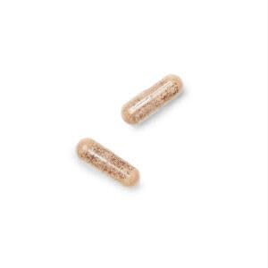 GNC Gentlesorb Iron 18mg packaging with capsules