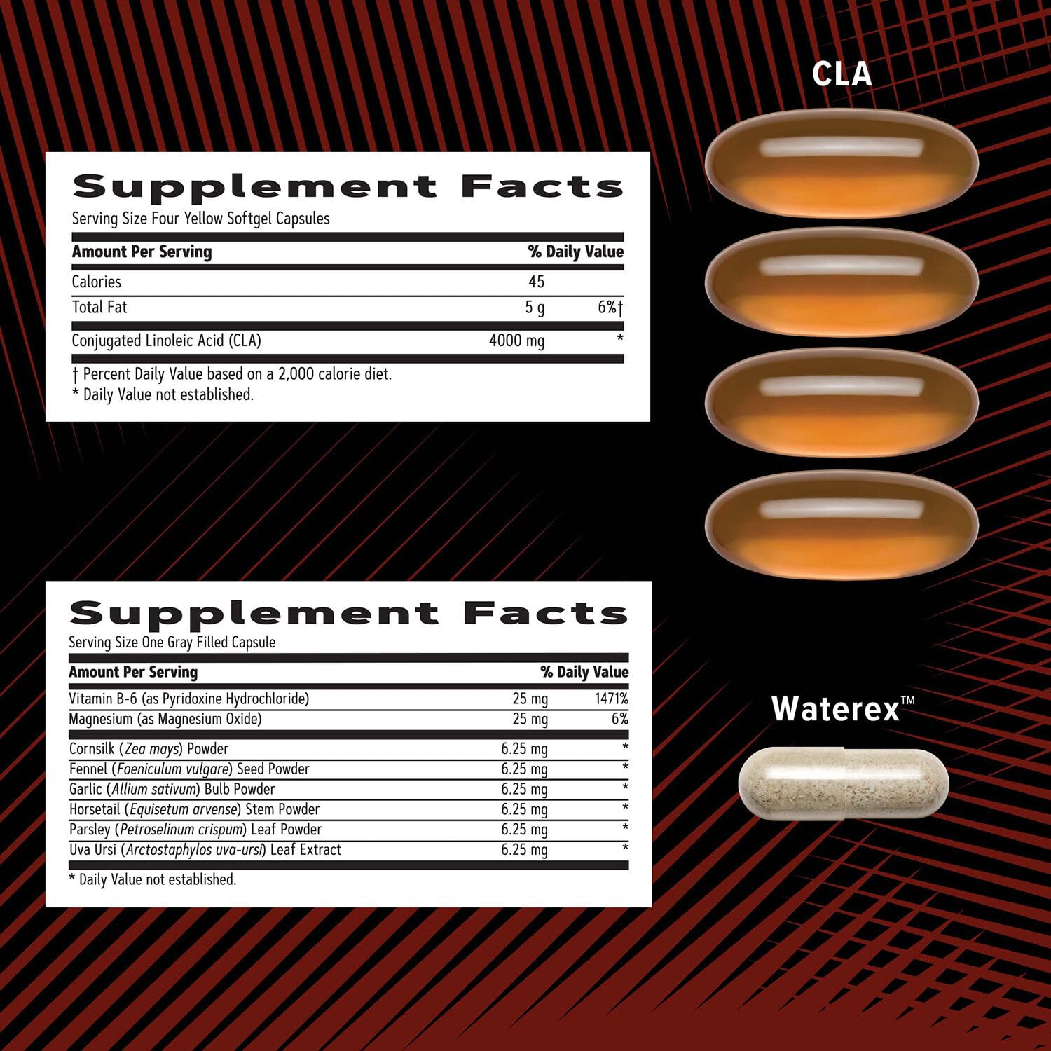 CLA and key ingredients highlighted on packaging