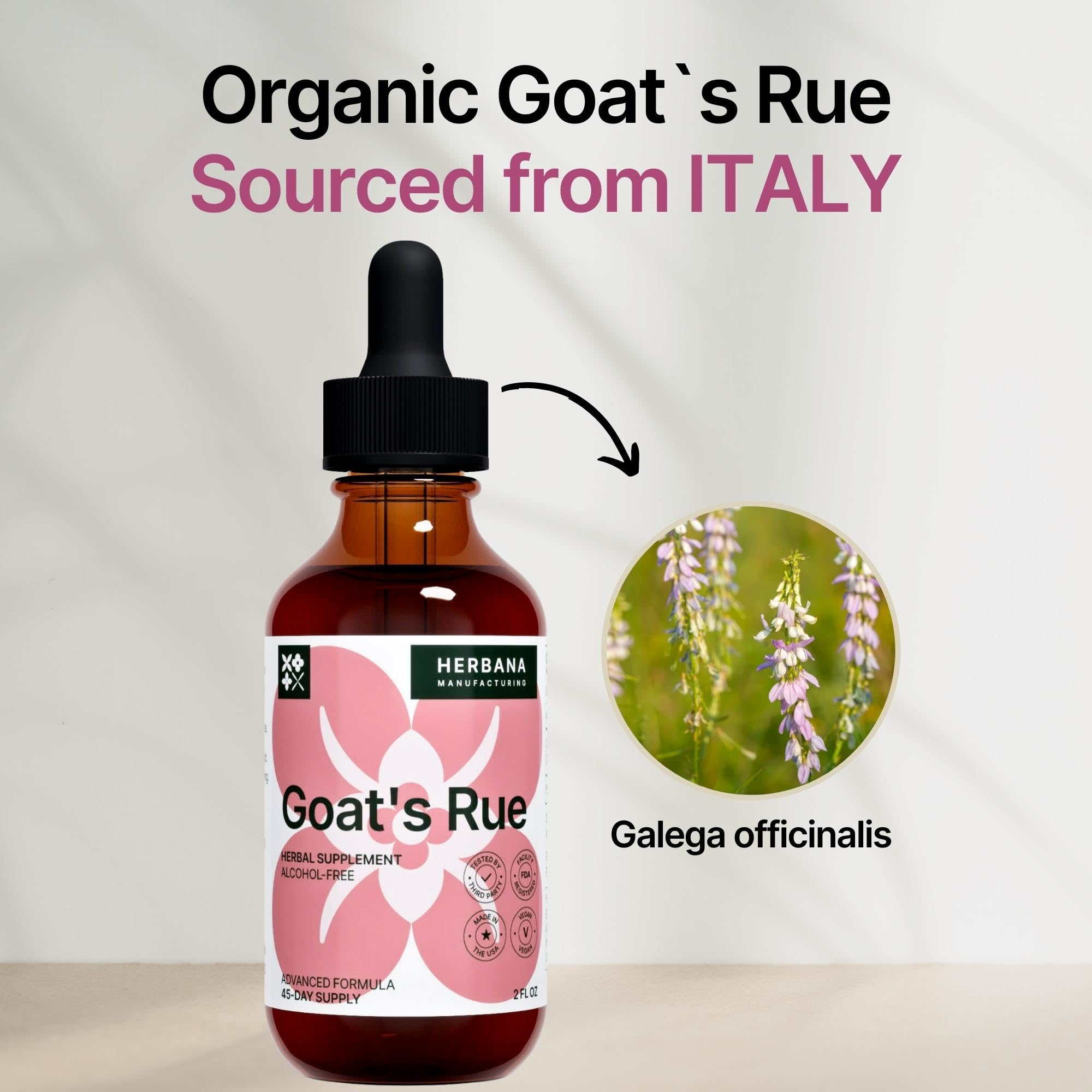 Dropper dispensing Goat's Rue liquid extract