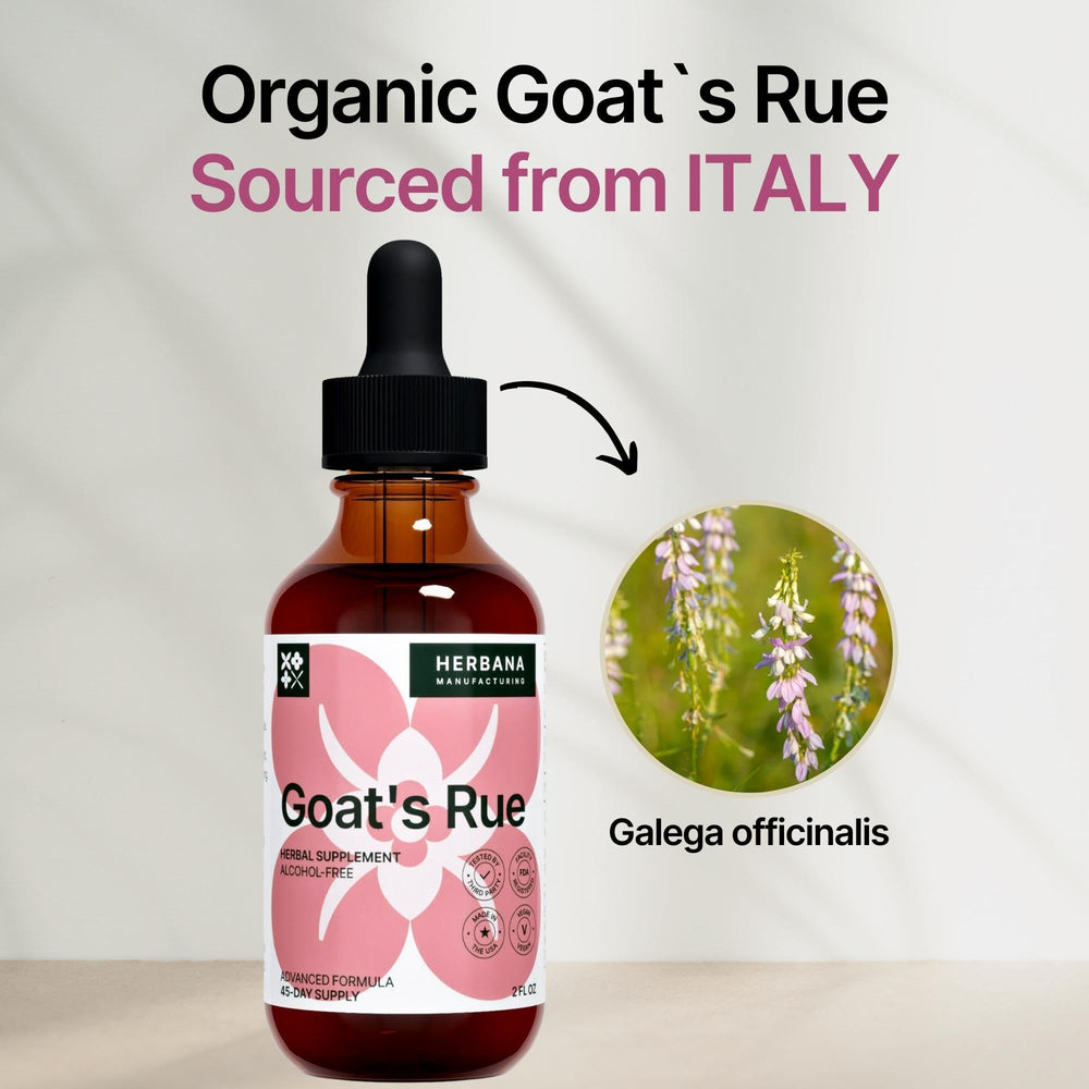 Dropper dispensing Goat's Rue liquid extract