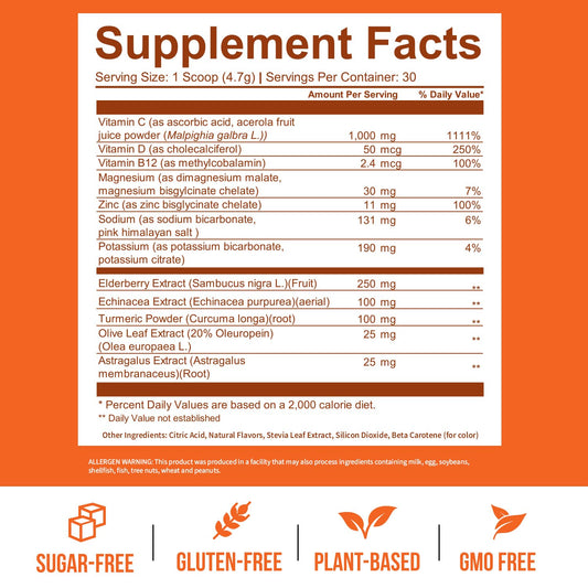 Elderberry and berry blend ingredients in GoBiotix immunity powder