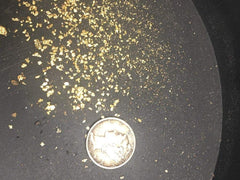 Assay lab testing paydirt gold content