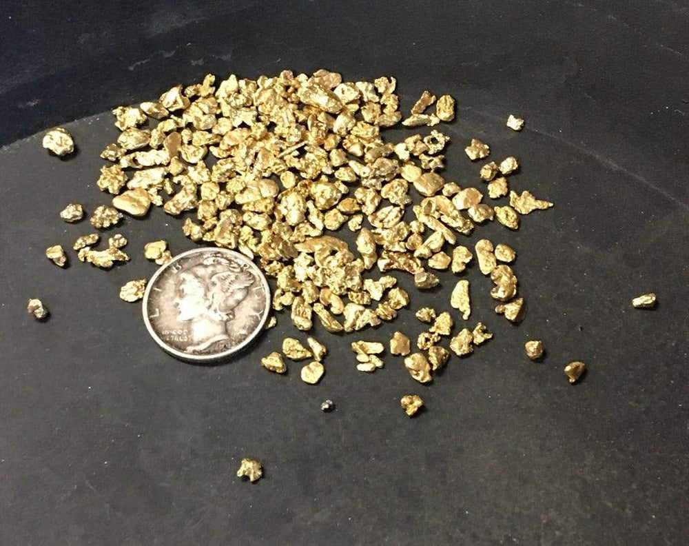 Paydirt sample from Colorado creeks