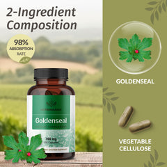 Goldenseal root capsules close-up showing powder