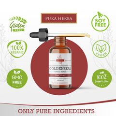 Goldenseal root Hydrastis canadensis used in tincture