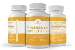 Goldenseal root illustration representing berberine source