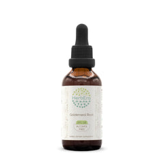 HerbEra Goldenseal Root B60 Alcohol-Free Tincture bottle – front view